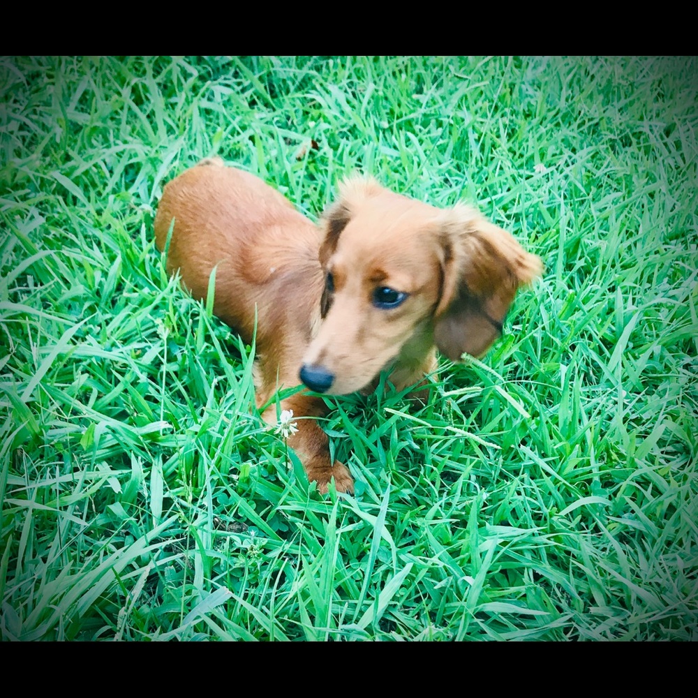 Meet your Posher, Mandy